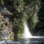 Tax-waterfall