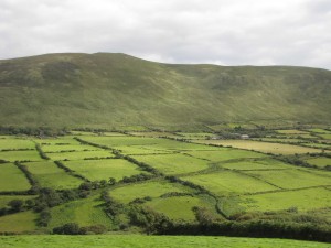 ireland green fields