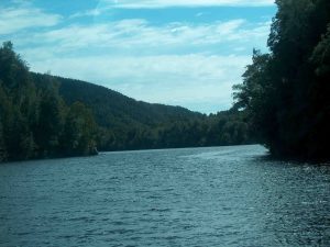 tasmania-river