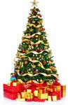 christmas-tree-3